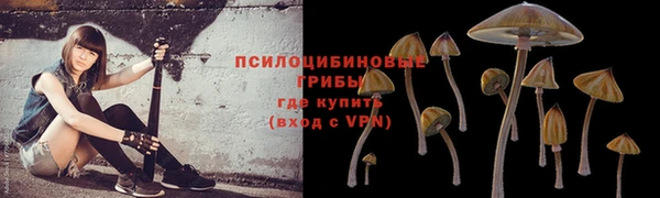 apvp Богородицк