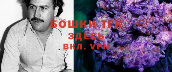 PSILOCYBIN Богданович
