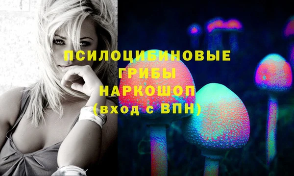 apvp Богородицк