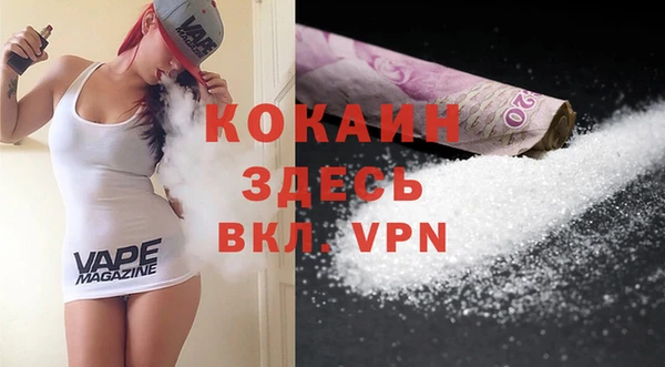 PSILOCYBIN Богданович