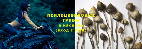 винт Белоозёрский