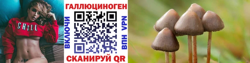 Псилоцибиновые грибы Magic Shrooms  Венёв 
